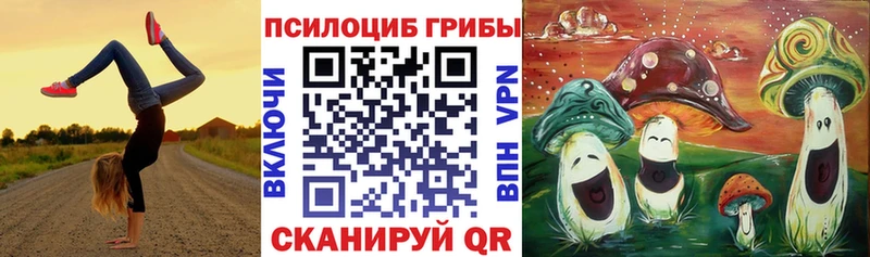Галлюциногенные грибы прущие грибы где купить наркоту Сунжа